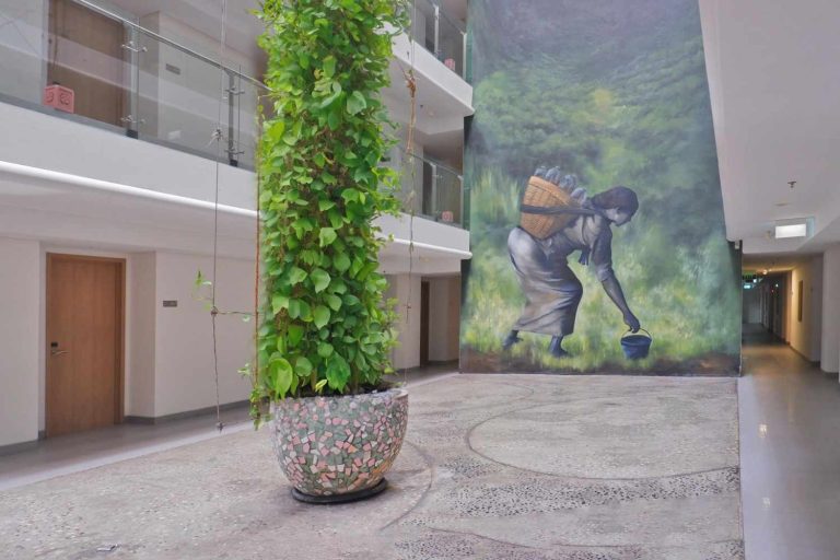 The Hotels Experience